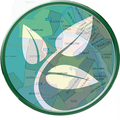 Seeds and Map
