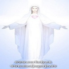 Radio MIR Medjugorje icon