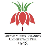 Orto e Museo Botanico di Pisa icône