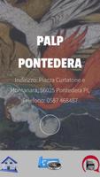 Palp Pontedera Plakat