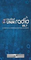 UNM Ciudad on-line پوسٹر