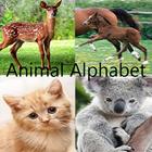 Animal Alphabet icon