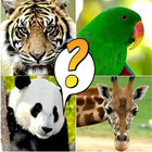 Animal Quiz أيقونة