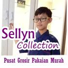 Sellyn Collection icon