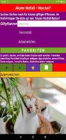 Katzen & Giftpflanzen App poster