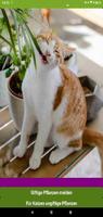 Katzen & Giftpflanzen App screenshot 2