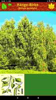 Laubbäume Pro اسکرین شاٹ 2