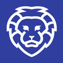 Brav Browser Fast and Secure APK
