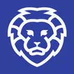 Brav Browser Fast and Secure