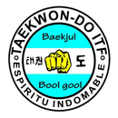 Taekwondo Espíritu Indomable APK