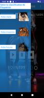 Equileds Affiche