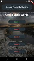 Aussie slang quiz-pro imagem de tela 1