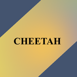 CHEETAH