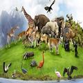 Children's Zoo Sounds app