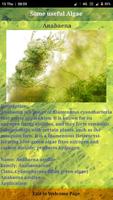 Useful Algae & their Applicati-poster