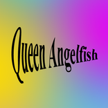 Queen Angelfish
