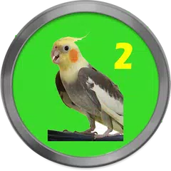 Cantos de calopsita 2 LITE APK 下載