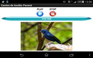 برنامه‌نما Canto dos pássaros Volume 1 عکس از صفحه