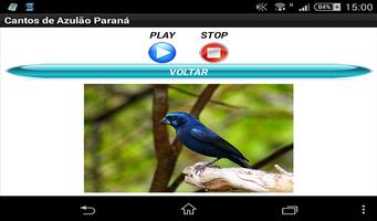 Canto dos pássaros Volume 1 capture d'écran 2