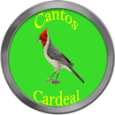 Cantos de Cardeal APK