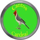 Cantos de Cardeal ไอคอน