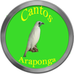 Cantos de Araponga