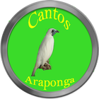 Cantos de Araponga ikon