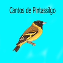 Cantos de Pintassilgo LITE 2 APK