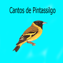 Cantos de Pintassilgo LITE 2-APK