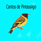 Cantos de Pintassilgo LITE 2 آئیکن
