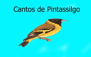 Cantos de Pintassilgo LITE 2 تصوير الشاشة 2