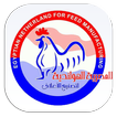 المصرية الهولندية لصناعة الاعل