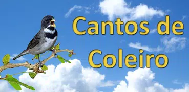 Canto de Coleiro