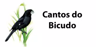 Cantos de Bicudo