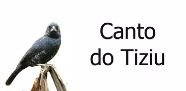 Canto de Tiziu