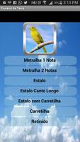 Canto de Canário da Terra постер