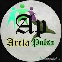 ARETA PULSA скриншот 3