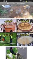 Insolites du Maroc 1 Plakat