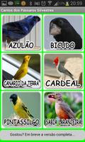 Cantos dos Pássaros Silvestres تصوير الشاشة 3