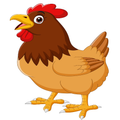 HEN SAFE