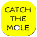Catch The Mole-APK