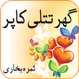 Ghar Titli Ke Par Urdu Novel icon