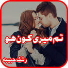 Tum Meri Kon ho Urdu Novel আইকন
