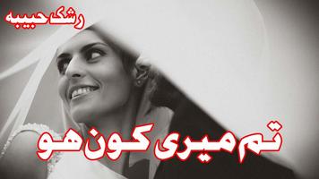 Tum Meri Kon ho Urdu Novel Affiche
