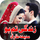 APK Zindagi Tum Ho Urdu Novel