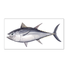 Tuna - The Bagpipe Tuner آئیکن