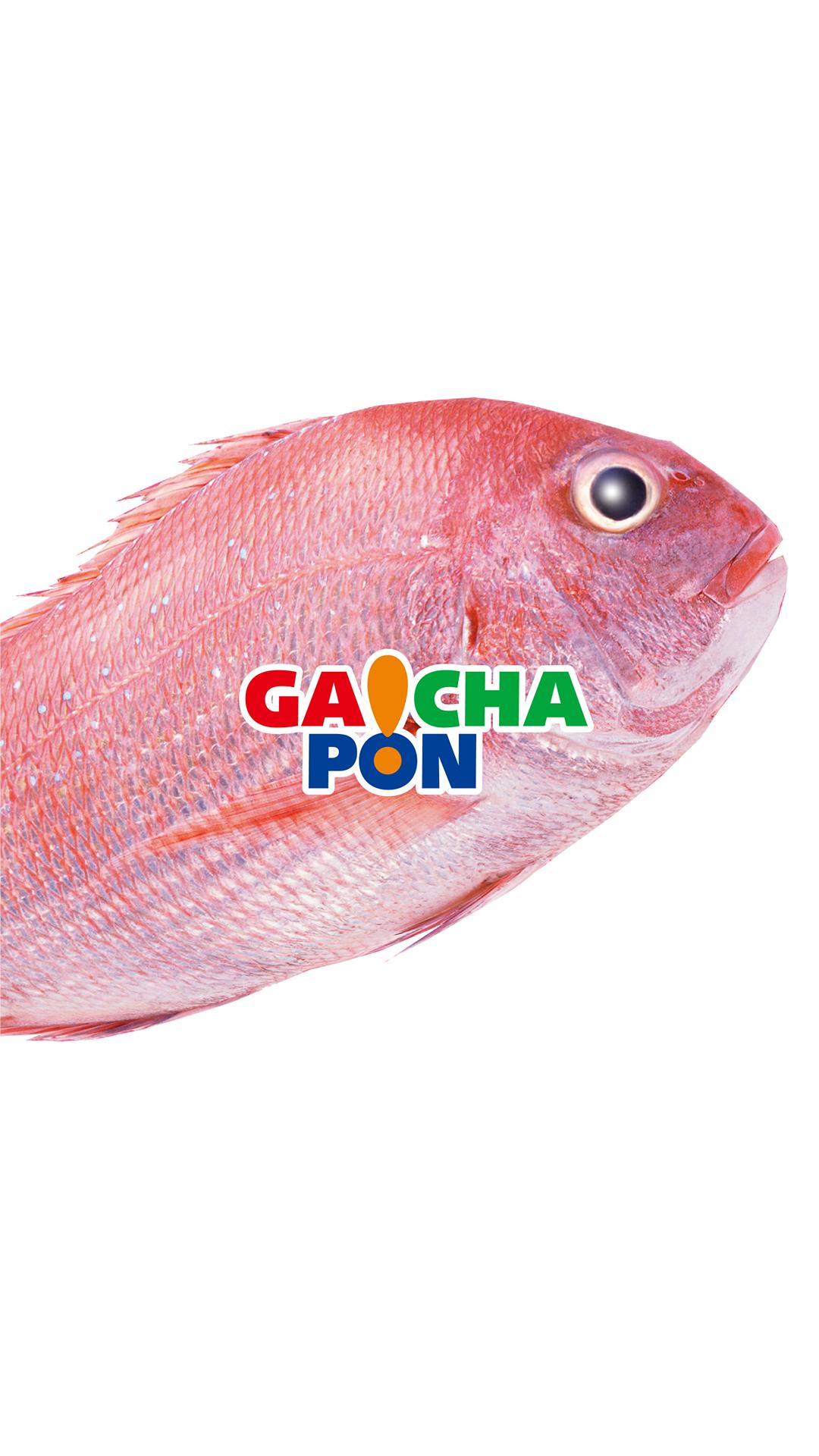 がちゃぽん久居店 For Android Apk Download がちゃぽん久居店 For Android Apk Download