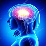 MAX-MEMORY - Brain Booster Gam icon