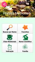 Plantas Medicinais-poster