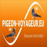 Pigeon-Voyageur.eu